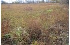Property photo 13 - 80 Acres & Home - Property Offered in 4 Tracts from 2.3 to 30.0 Acres
